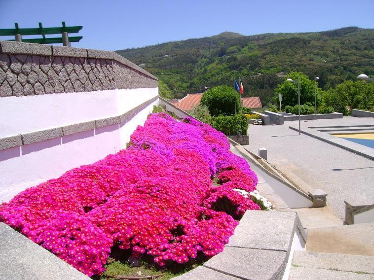 Miradouro Da Serra Monchique Ngoại thất bức ảnh